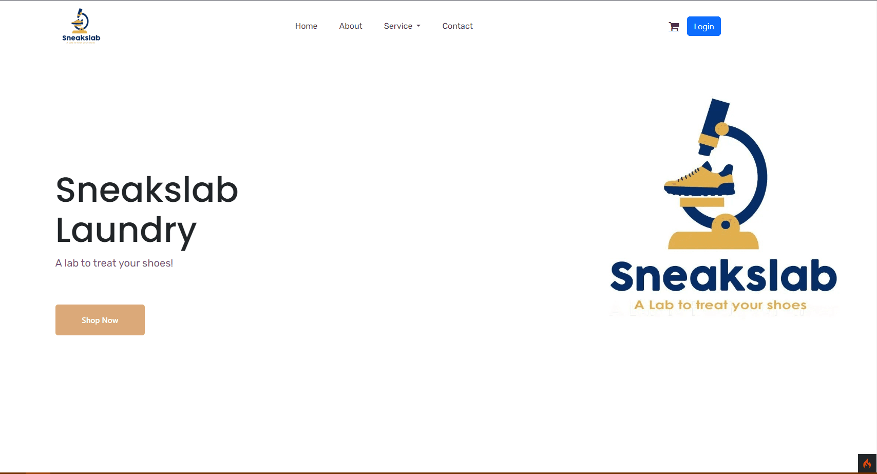 Website SenaksLab Laundry